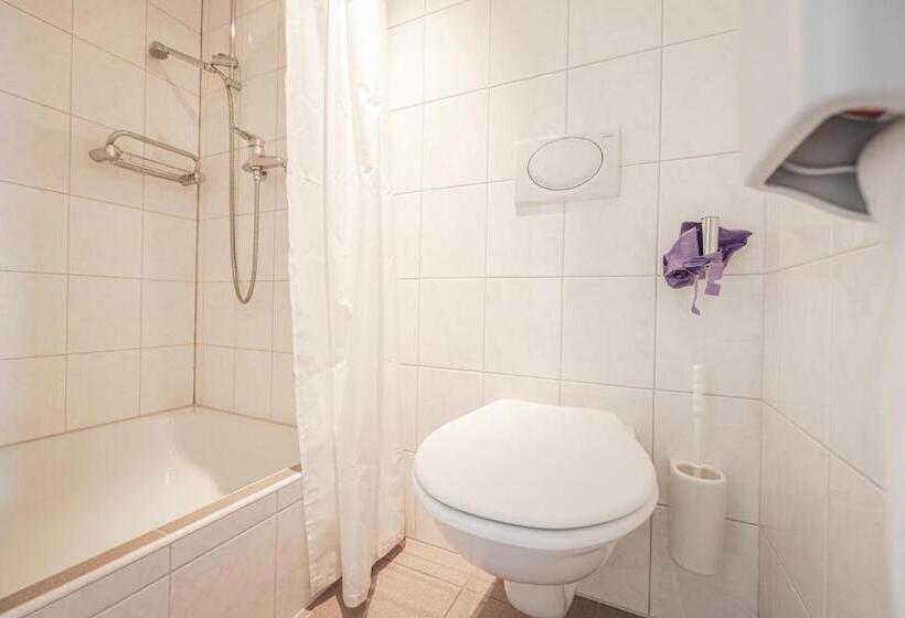 ホテル Arosa Mountain Lodge