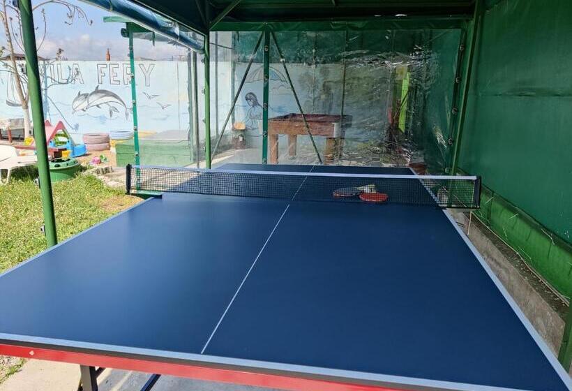 펜션 Vila Fery Costinesti