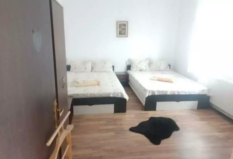 ペンション Vila Popoiu