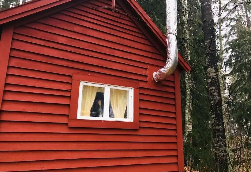 Tiny Hut In The Forest Overlooking The River