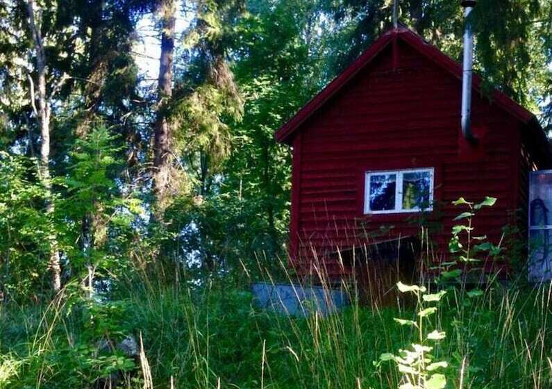 Tiny Hut In The Forest Overlooking The River