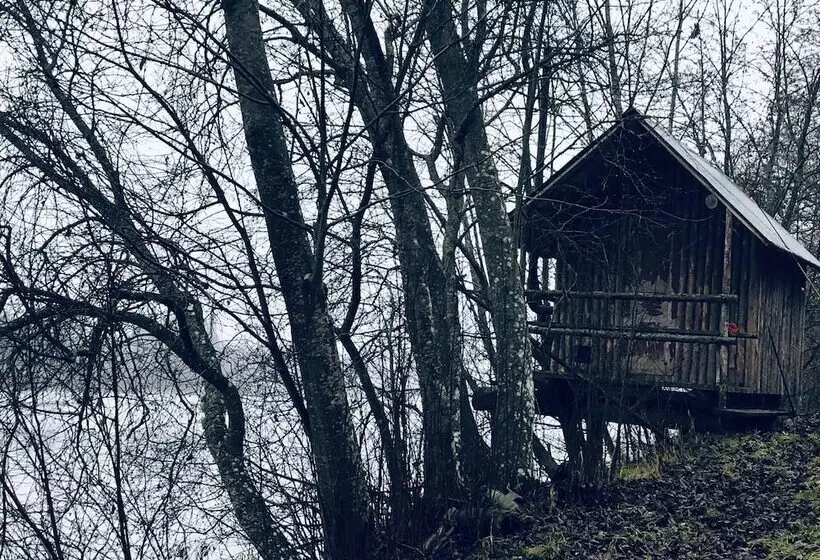 Tiny Hut In The Forest Overlooking The River