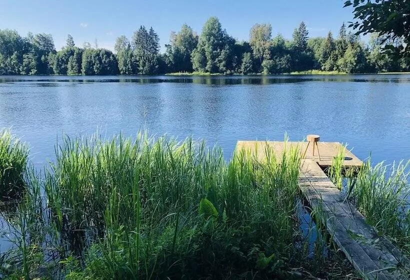 Tiny Hut In The Forest Overlooking The River