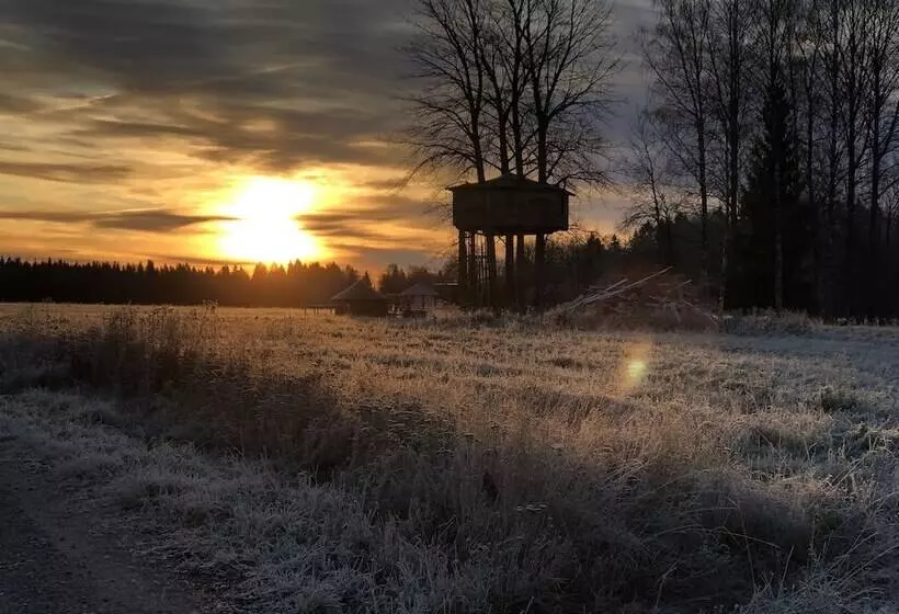Tiny Hut In The Forest Overlooking The River