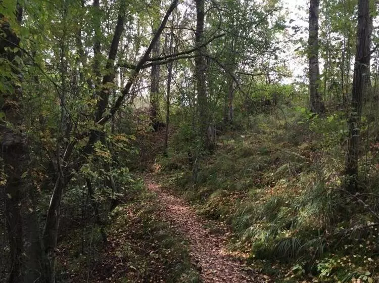 Tiny Hut In The Forest Overlooking The River
