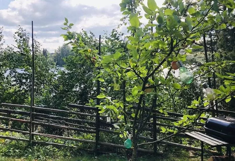 Tiny Hut In The Forest Overlooking The River