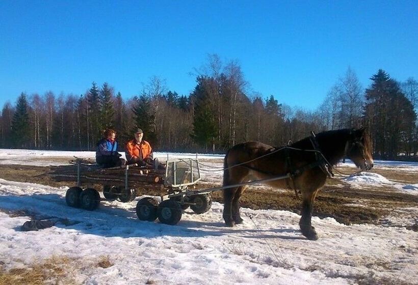Tiny Hut In The Forest Overlooking The River