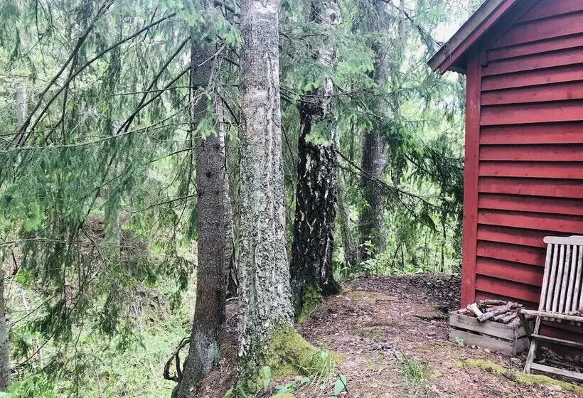 Tiny Hut In The Forest Overlooking The River