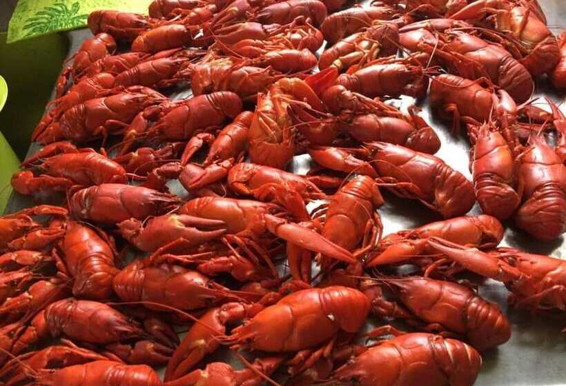 Tiny Hut In The Forest Overlooking The River