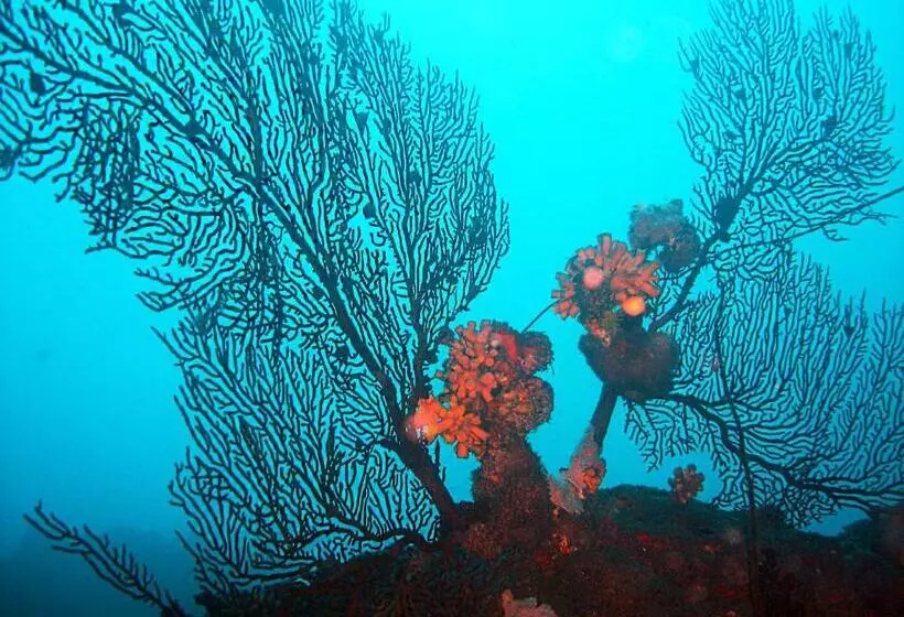 Club Santana Beach & Resort