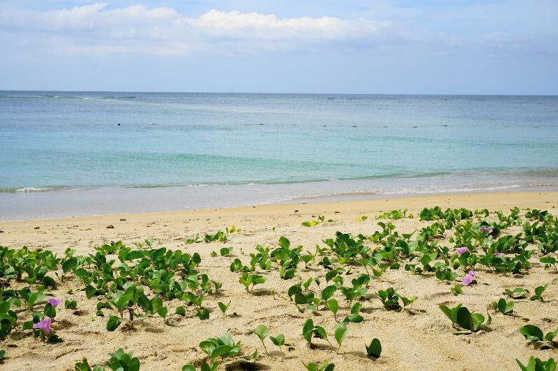 Dewa Phuket Resort & Villas