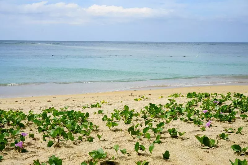 Dewa Phuket Resort & Villas