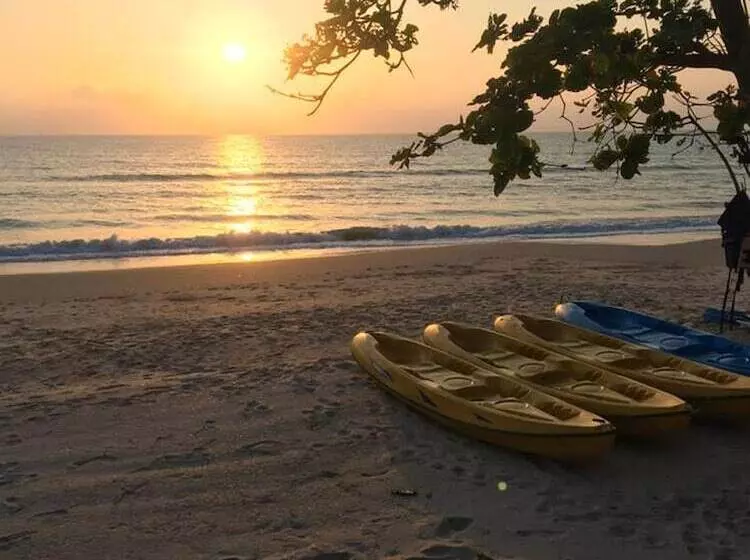 Hotel Aava Resort and Spa