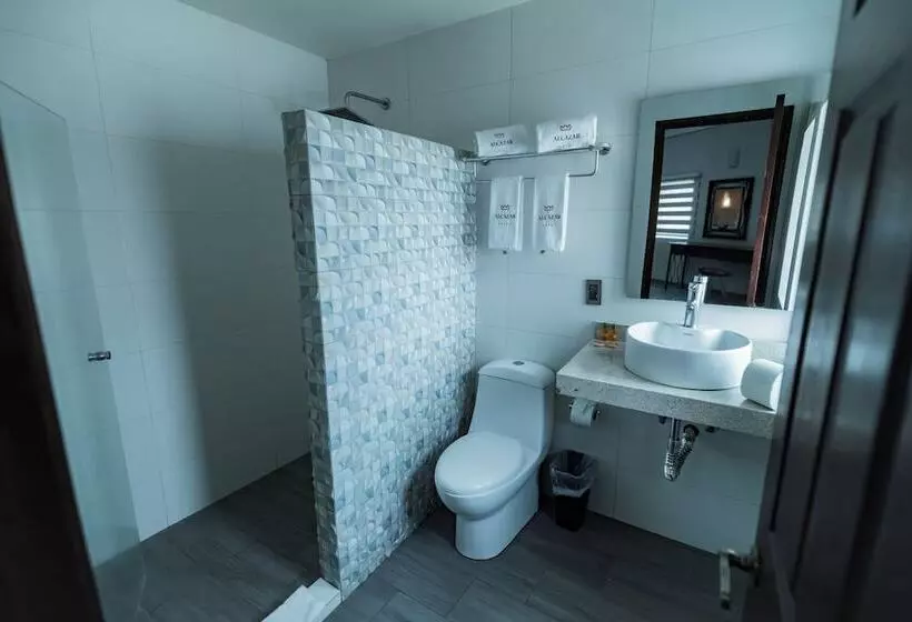 هتل Alcazar Guadalajara Centro Historico