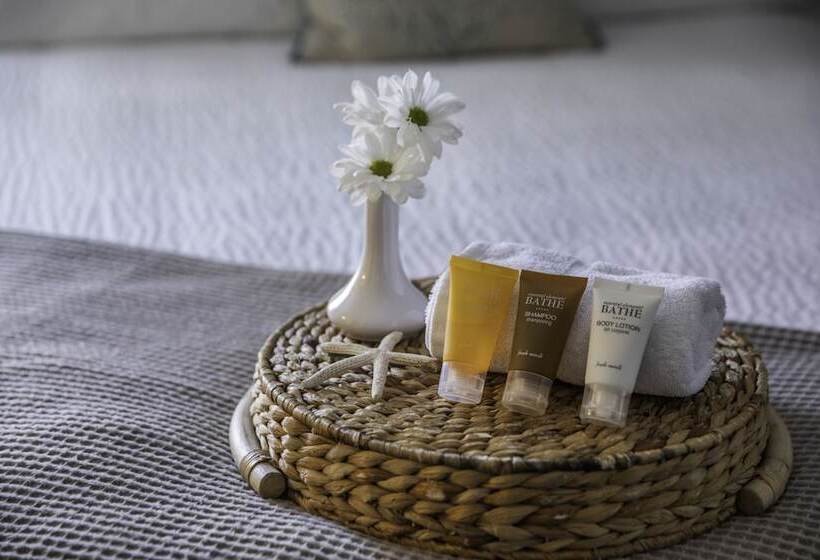 酒店 Chapter House