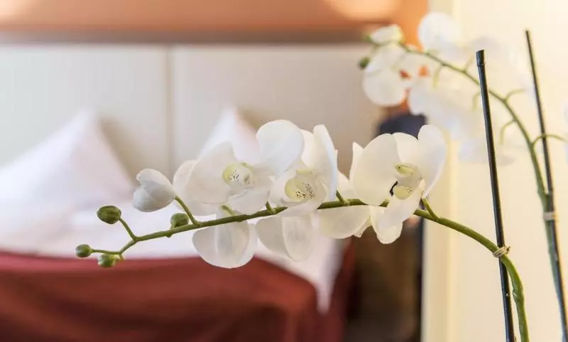 Heritage Hotel Hallstatt