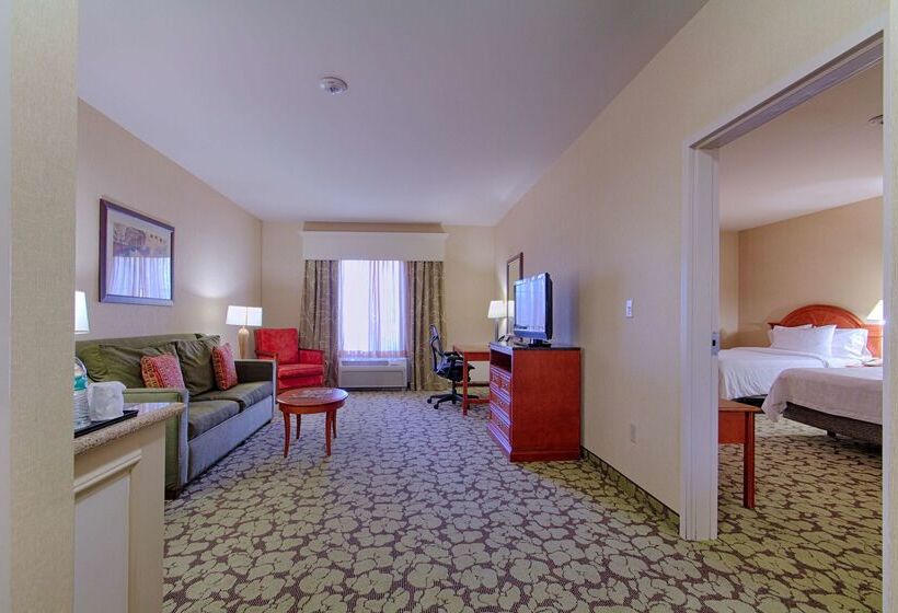 فندق Hilton Garden Inn Las Vegas Strip South