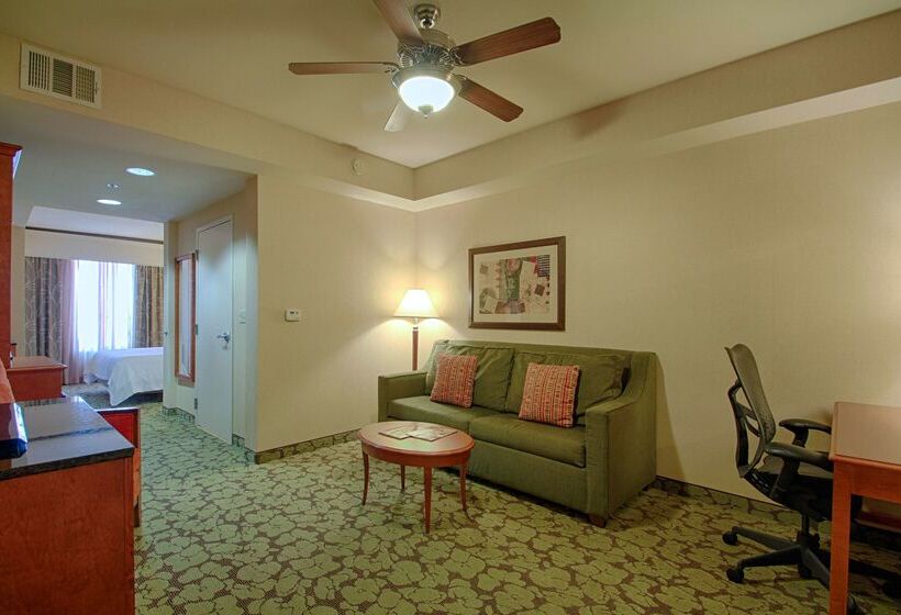 فندق Hilton Garden Inn Las Vegas Strip South