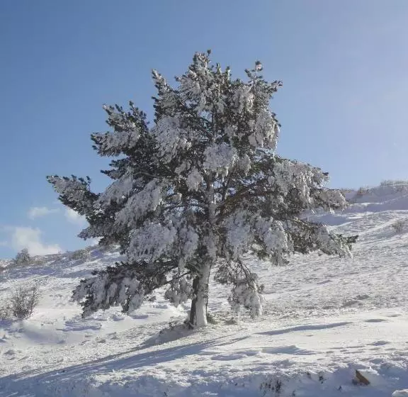 호텔 Hospedería Palacio De Allepuz