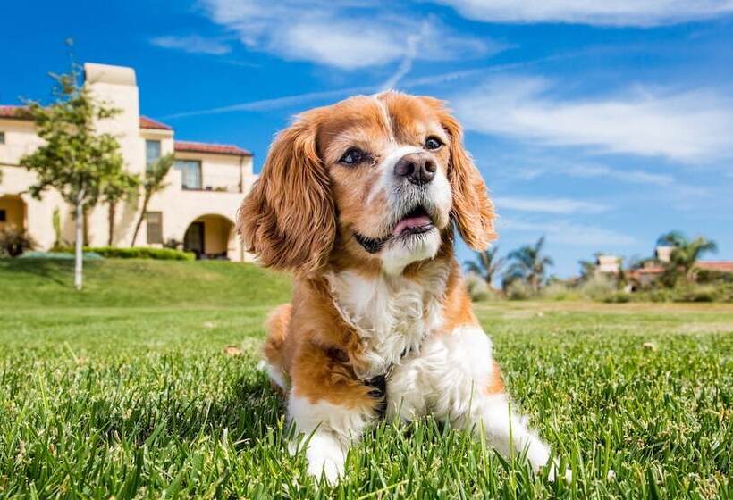 ホテル Terranea Resort