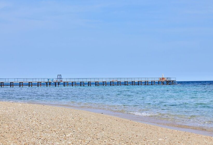 استراحتگاه Pickalbatros The Palace Port Ghalib