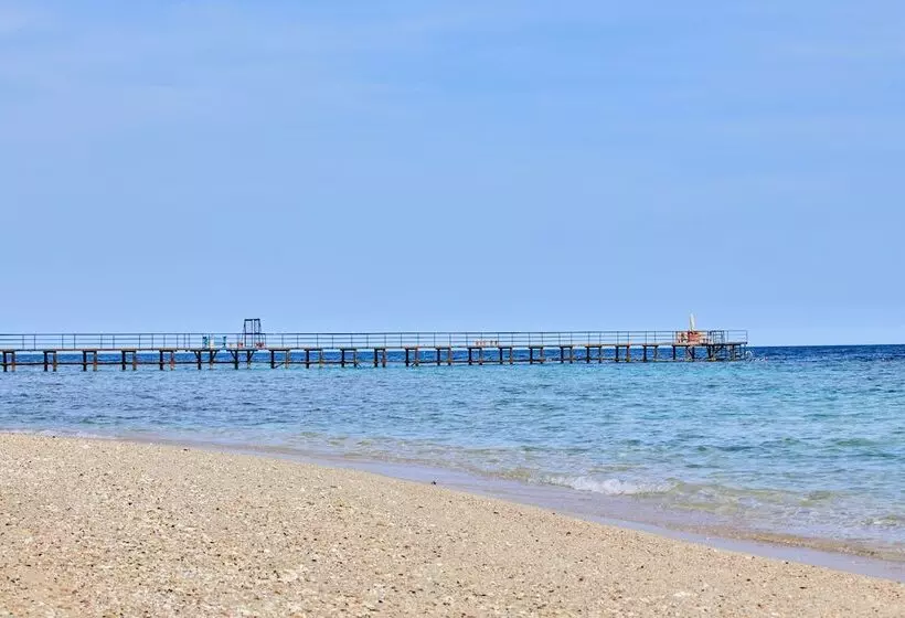 Resort Pickalbatros The Palace Port Ghalib