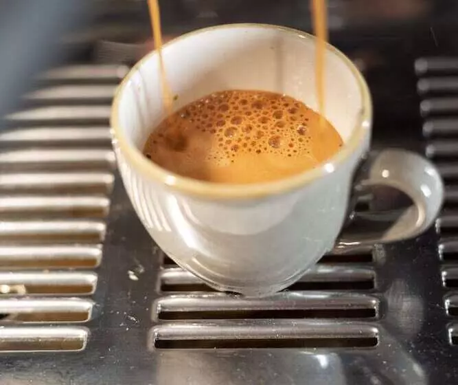 Yotelair Amsterdam Schiphol Transit