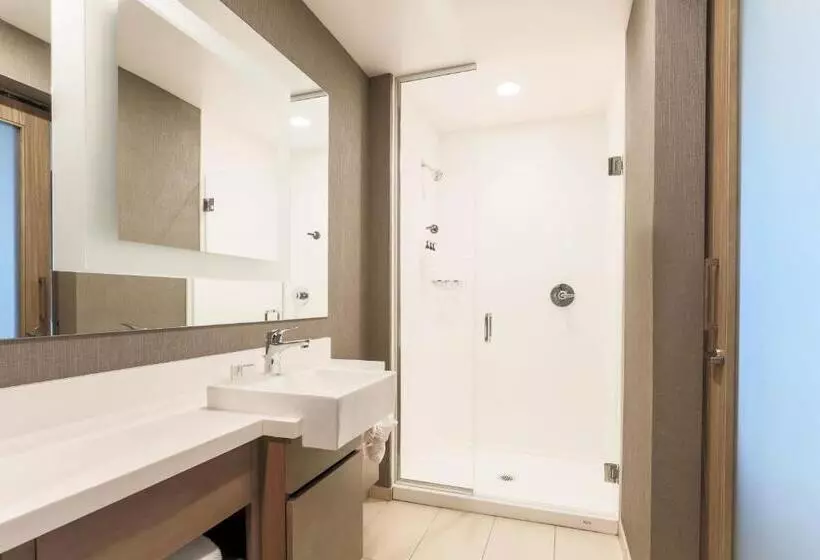 Hotelli Springhill Suites By Marriott San Jose Fremont