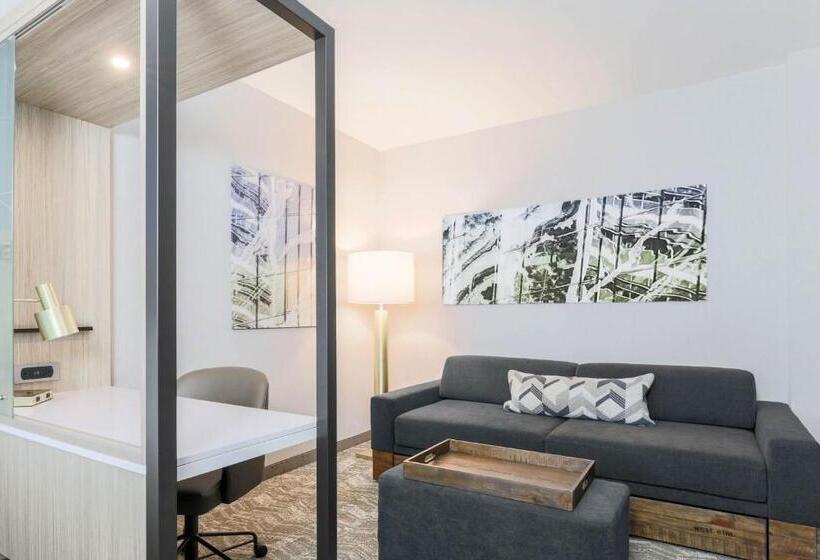 酒店 Springhill Suites By Marriott San Jose Fremont