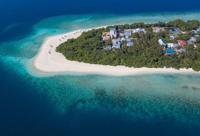 هتل Ostrov Palm Villa