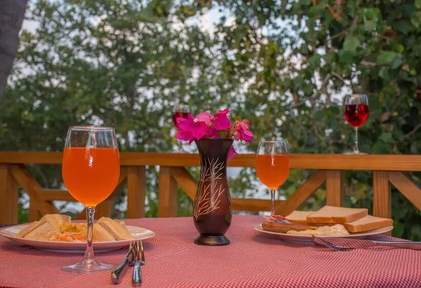 هتل Ostrov Palm Villa