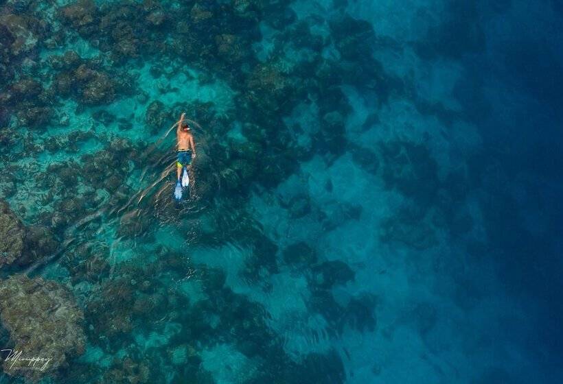 هتل Ostrov Palm Villa