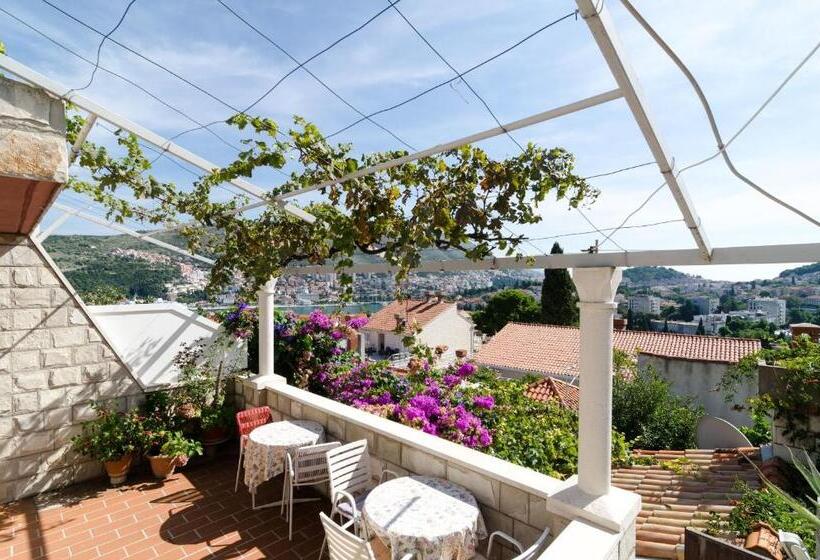 پانسیون Guest House Misita