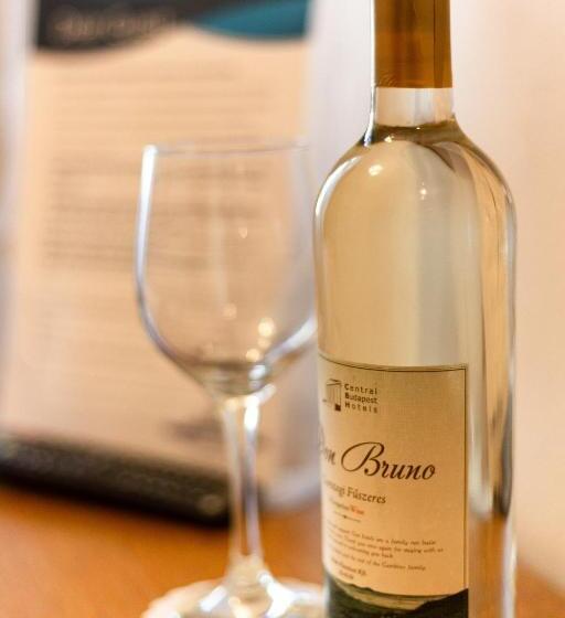 فندق Budapest Panorama Central