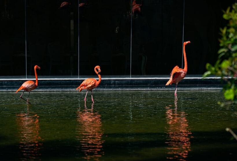 هتل Grand Bavaro Princess - All Inclusive