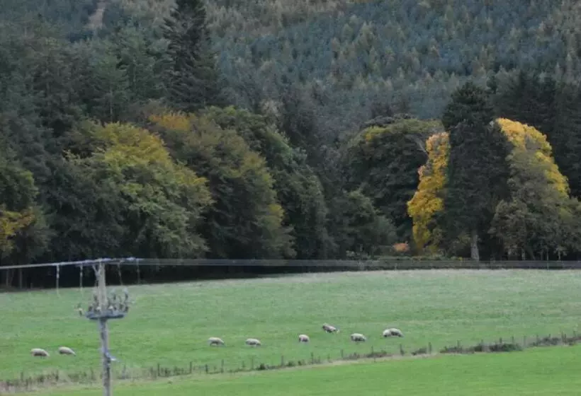 ホテル The Tushielaw Inn