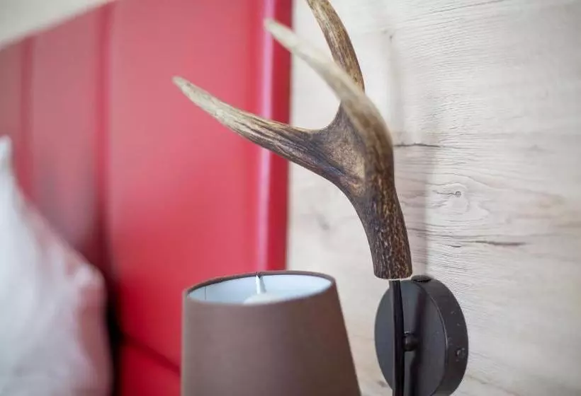 Aparthotel Altomünster   Garni