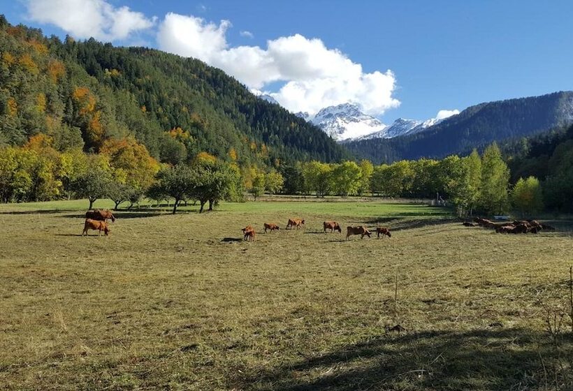 Bed and Breakfast Gîte De Boscodon
