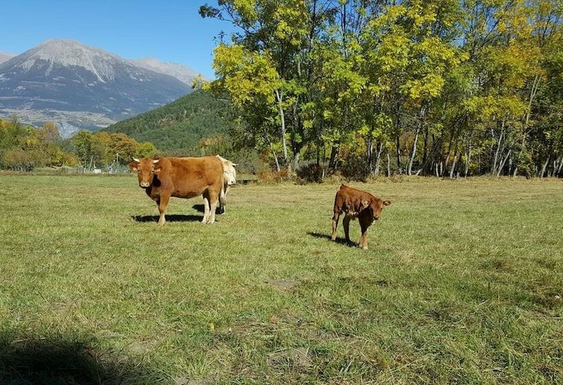 Bed and Breakfast Gîte De Boscodon