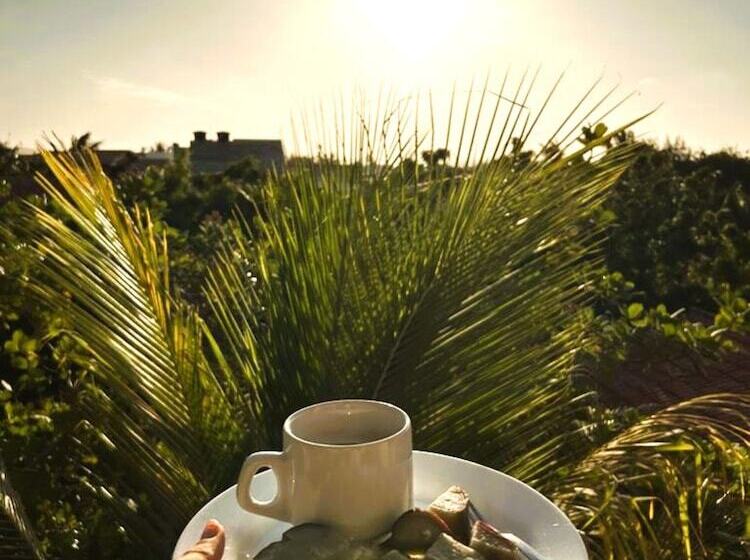 בית מלון כפרי Uru Pousada