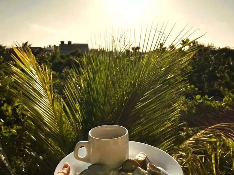 ホテル Uru Pousada