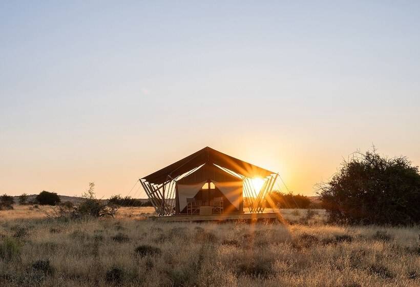 فندق Samara Karoo Reserve