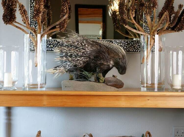 فندق Samara Karoo Reserve