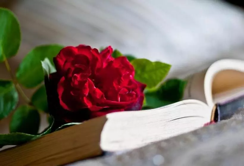 ベッドアンドブレックファースト Burnbank