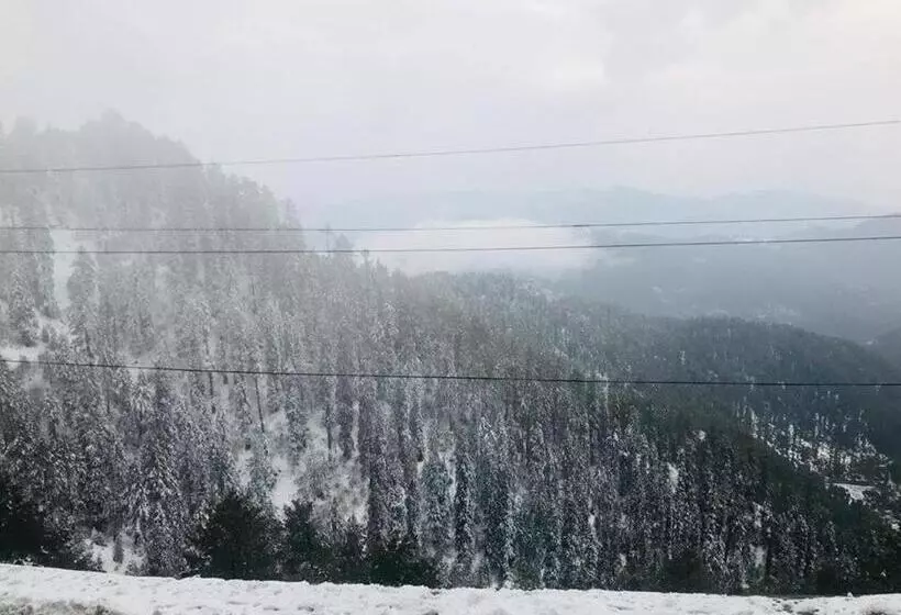 Shangrila Hotels Changla Gali