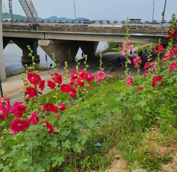 Pensão Chenal Motel