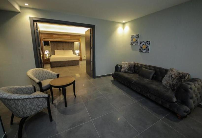 The Taj Hotel فندق التاج