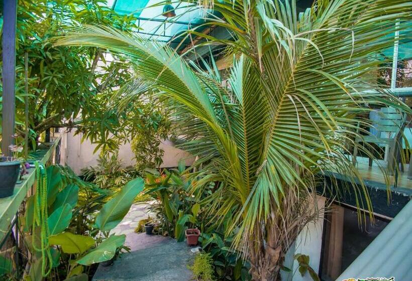 פנסיון Amazonas Explorers Leticia