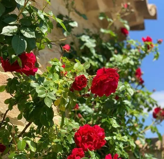 Aamiaismajoitus (B&B) Le Mas Andoli