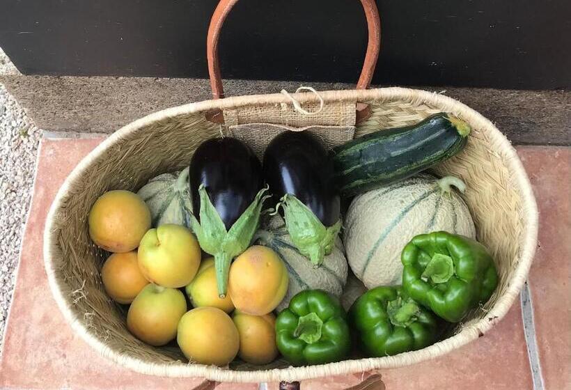 ベッドアンドブレックファースト Le Mas Andoli